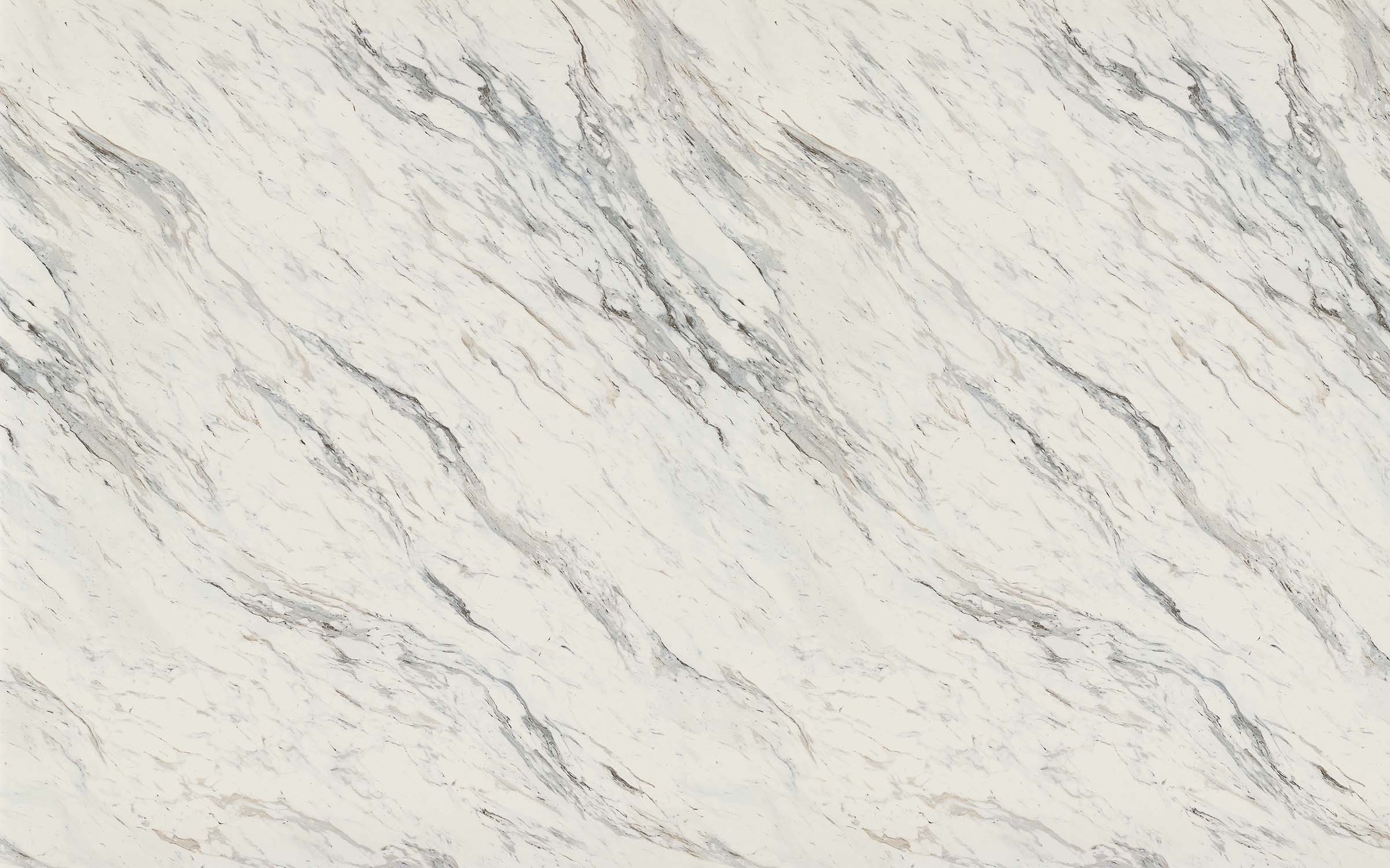 Calcutta Blanc
